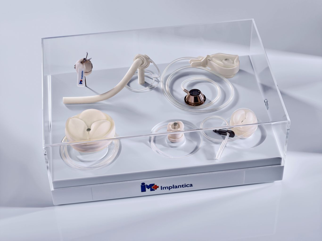 Prototypes box closed containing RefluxStop™, Swedish Adjustable Gastric Band (SAGB) and early prototypes of UriControl® (1 male, 1 female), RectalRestore®, StomaRestore®