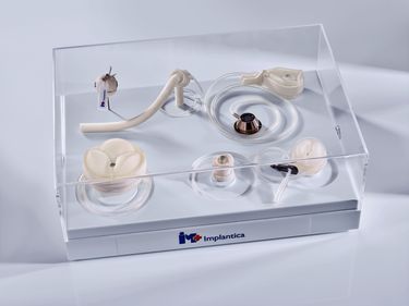 Prototypes box closed containing RefluxStop™, Swedish Adjustable Gastric Band (SAGB) and early prototypes of UriControl® (1 male, 1 female), RectalRestore®, StomaRestore®